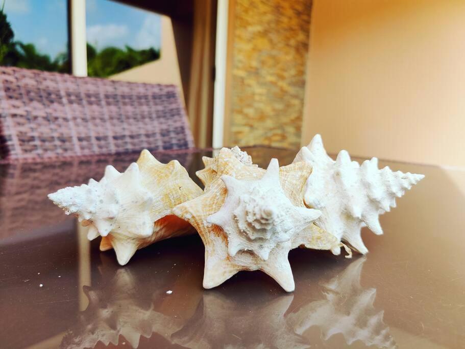 Aruba Family Oasis 2Br Pool 3Min Walk To Eagle Beach شاطئ بالم المظهر الخارجي الصورة