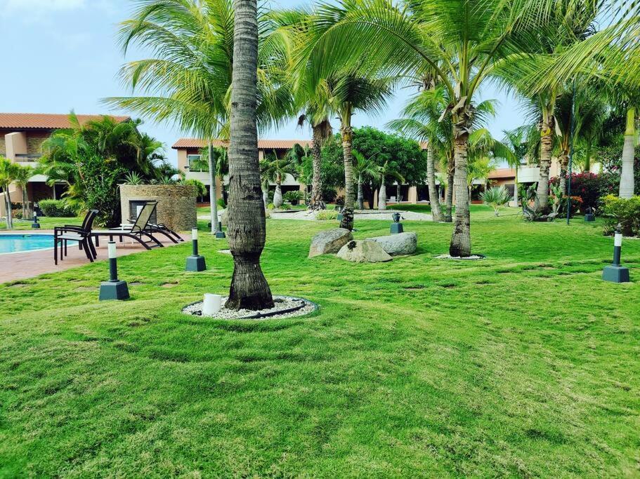 Aruba Family Oasis 2Br Pool 3Min Walk To Eagle Beach شاطئ بالم المظهر الخارجي الصورة