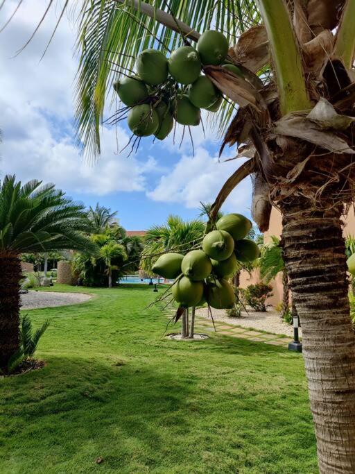 Aruba Family Oasis 2Br Pool 3Min Walk To Eagle Beach شاطئ بالم المظهر الخارجي الصورة