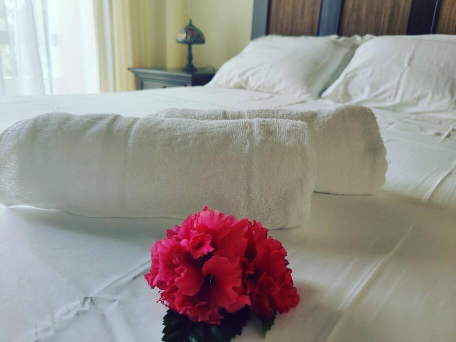 Aruba Family Oasis 2Br Pool 3Min Walk To Eagle Beach شاطئ بالم المظهر الخارجي الصورة