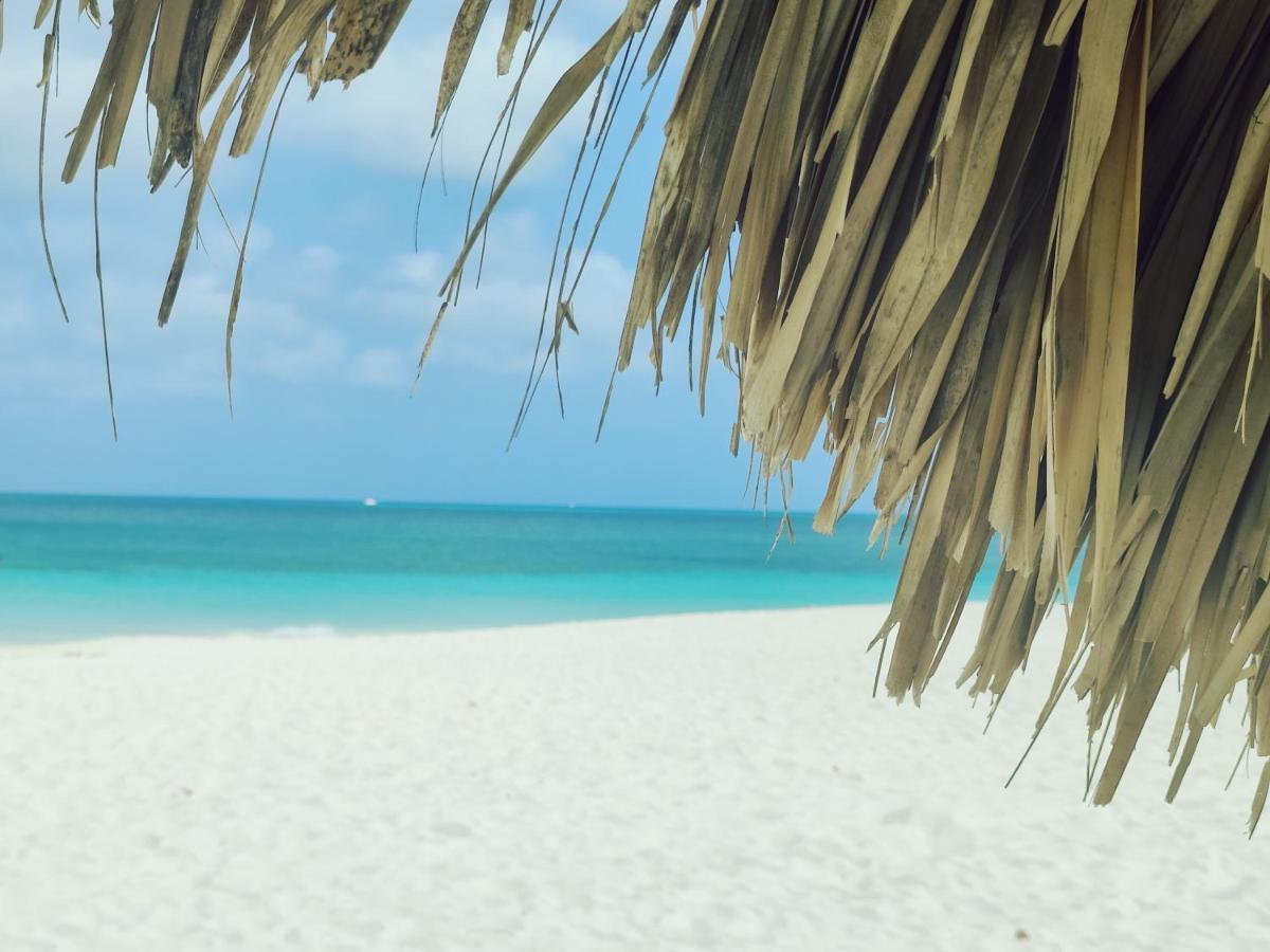 Aruba Family Oasis 2Br Pool 3Min Walk To Eagle Beach شاطئ بالم المظهر الخارجي الصورة